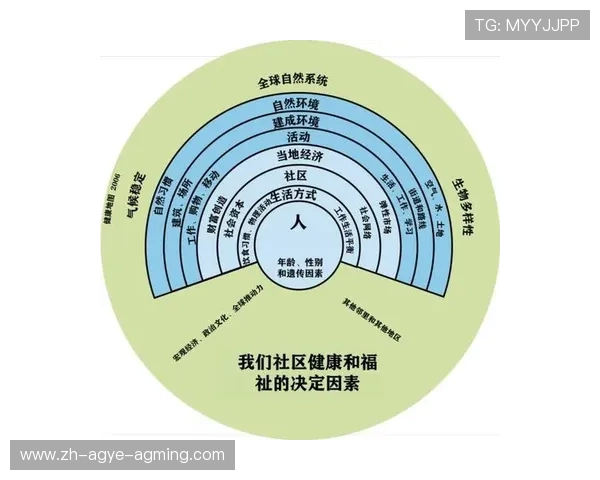 英超球队来源：英超球队的资金来源与经济模型