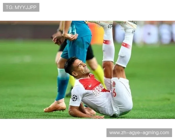 赛季总结数据谁在本赛季法甲中交出最完美答卷